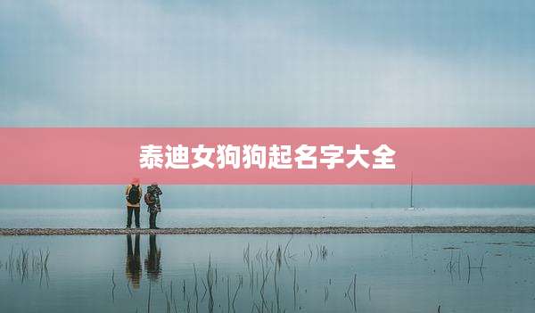 泰迪女狗狗起名字大全