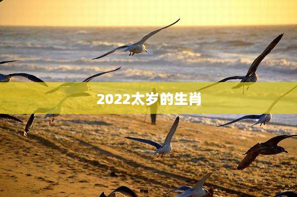 2022太岁的生肖