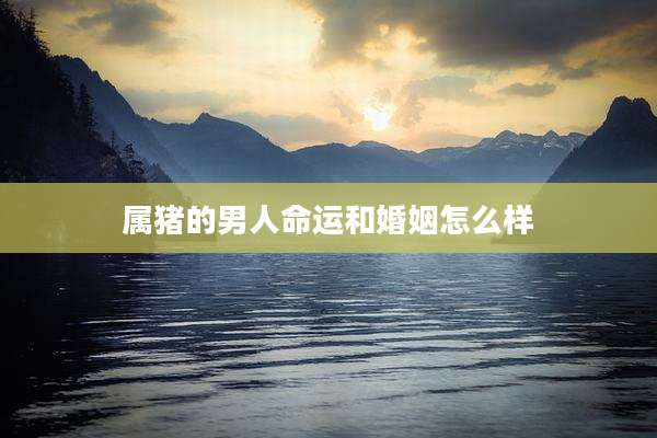 属猪的男人命运和婚姻怎么样