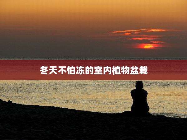 冬天不怕冻的室内植物盆栽