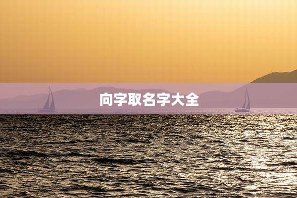 向字取名字大全