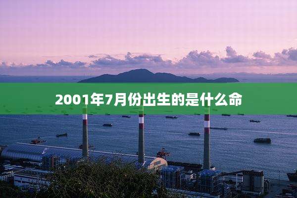 2001年7月份出生的是什么命