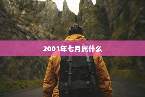 2001年七月属什么