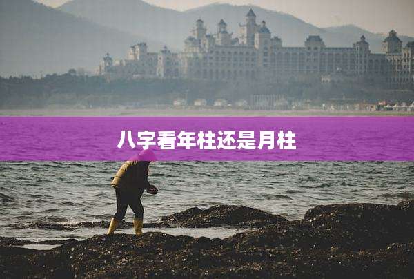 八字看年柱还是月柱