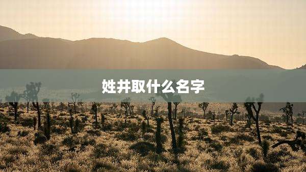 姓井取什么名字