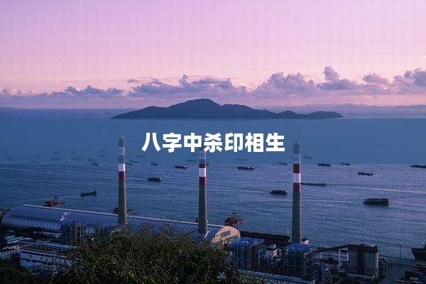 八字中杀印相生