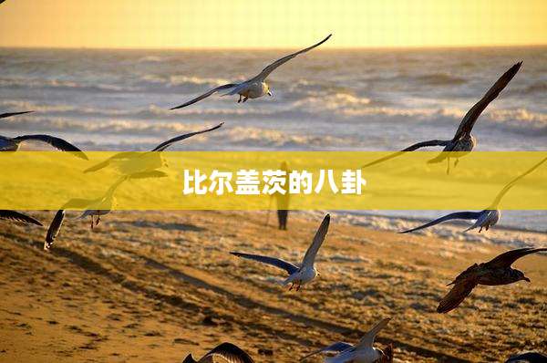 比尔盖茨的八卦