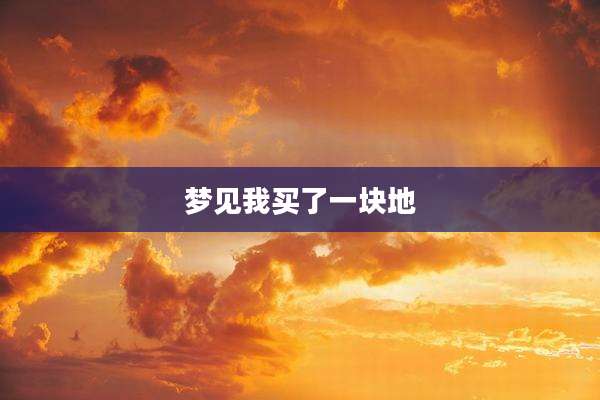 梦见我买了一块地