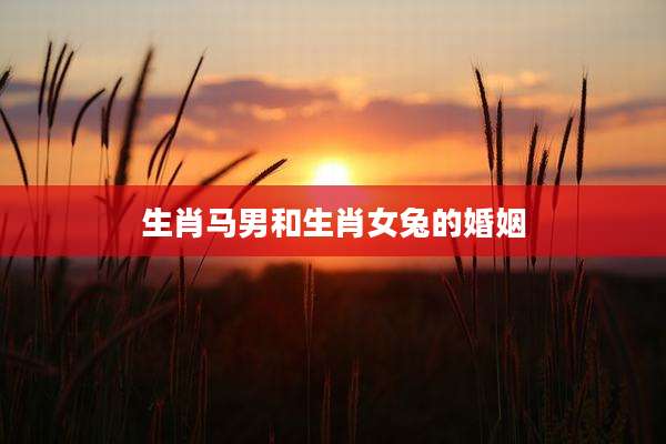生肖马男和生肖女兔的婚姻