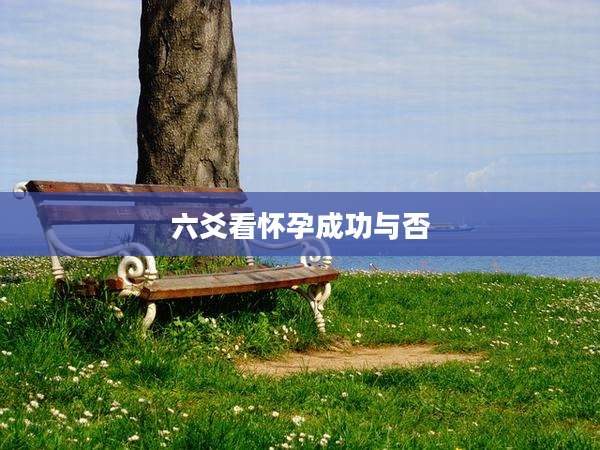 六爻看怀孕成功与否