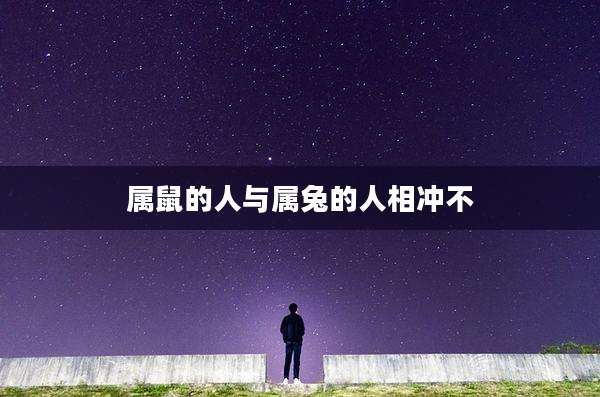 属鼠的人与属兔的人相冲不