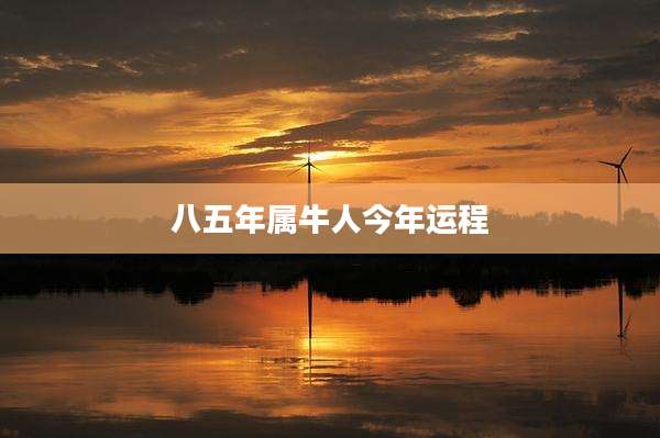 八五年属牛人今年运程