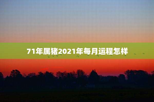 71年属猪2021年每月运程怎样