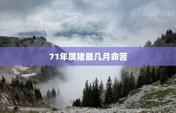 71年属猪最几月命苦
