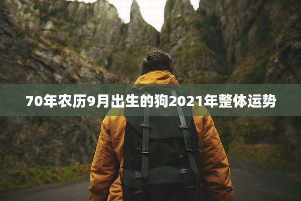 70年农历9月出生的狗2021年整体运势