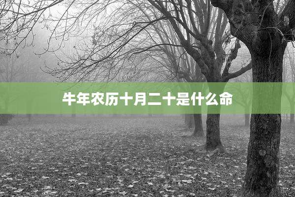 牛年农历十月二十是什么命