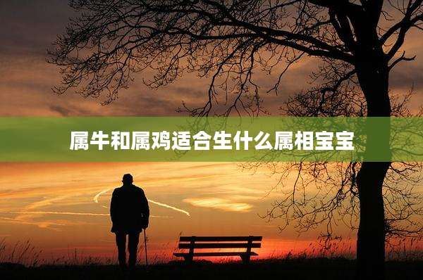 属牛和属鸡适合生什么属相宝宝