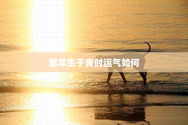 属羊生于寅时运气如何