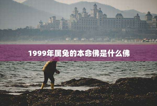 1999年属兔的本命佛是什么佛