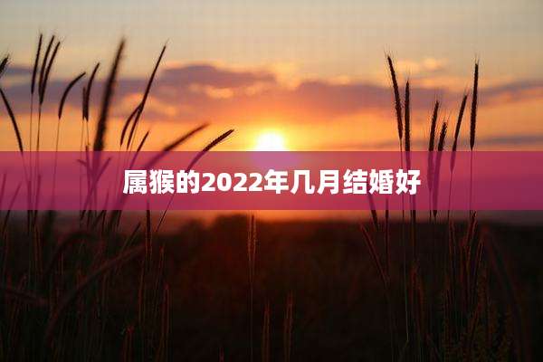 属猴的2022年几月结婚好