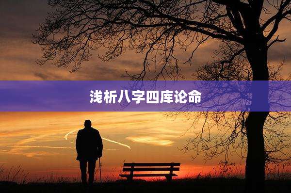 浅析八字四库论命