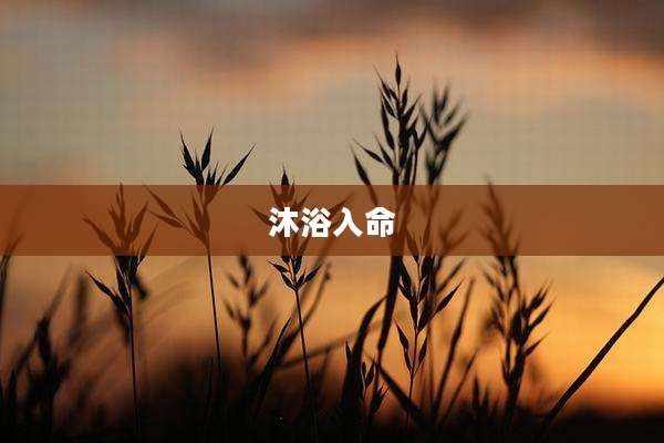 沐浴入命