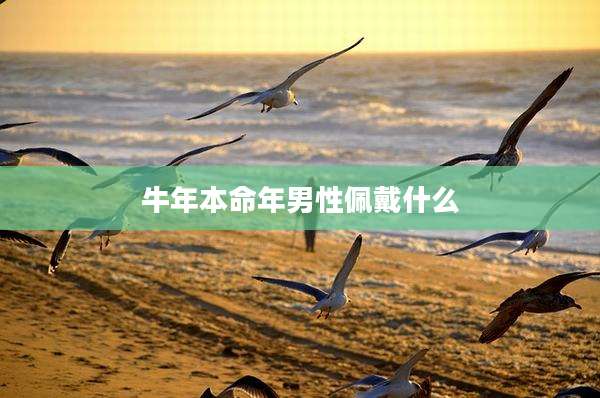 牛年本命年男性佩戴什么