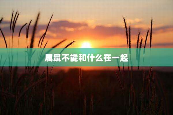 属鼠不能和什么在一起