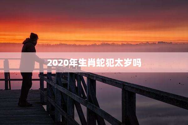 2020年生肖蛇犯太岁吗