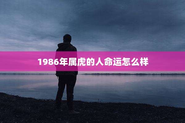 1986年属虎的人命运怎么样
