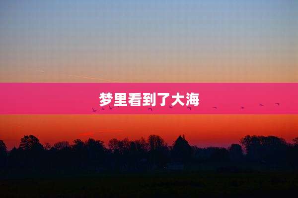 梦里看到了大海