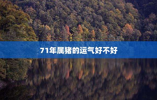71年属猪的运气好不好