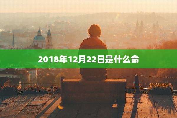 2018年12月22日是什么命