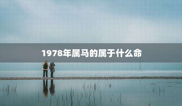 1978年属马的属于什么命