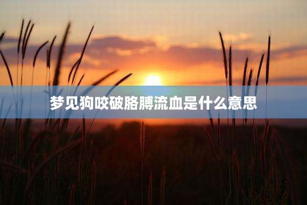 梦见狗咬破胳膊流血是什么意思