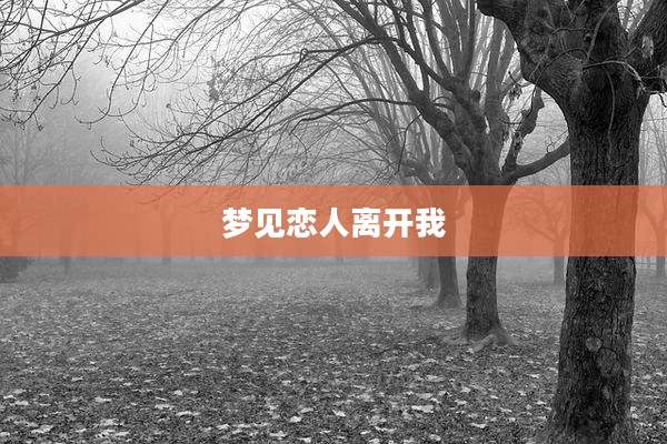 梦见恋人离开我