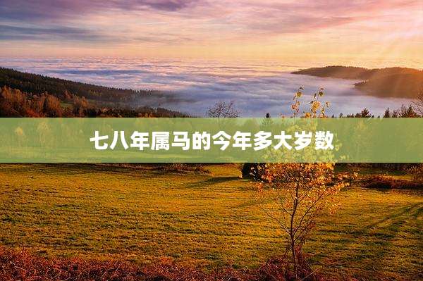 七八年属马的今年多大岁数