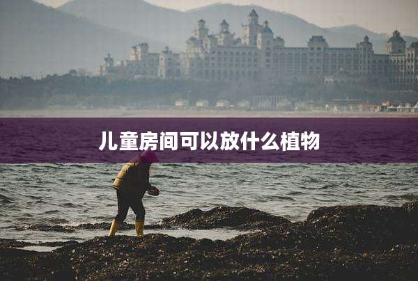 儿童房间可以放什么植物