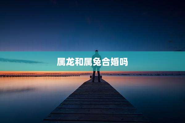 属龙和属兔合婚吗