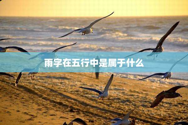 雨字在五行中是属于什么