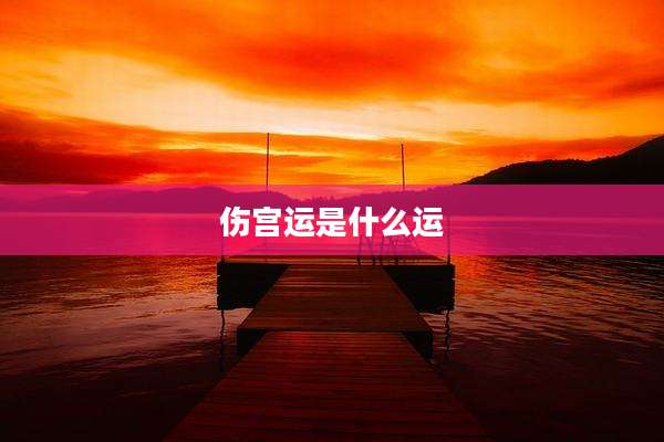 伤宫运是什么运