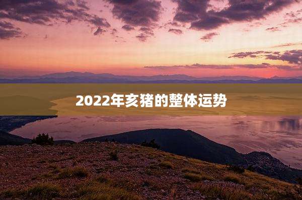 2022年亥猪的整体运势