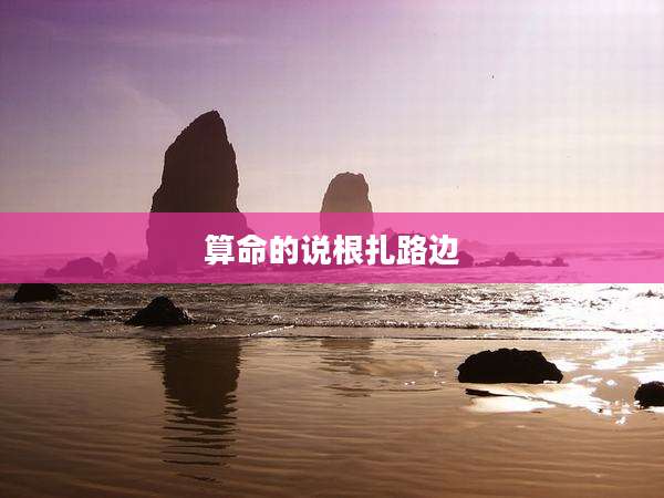 算命的说根扎路边