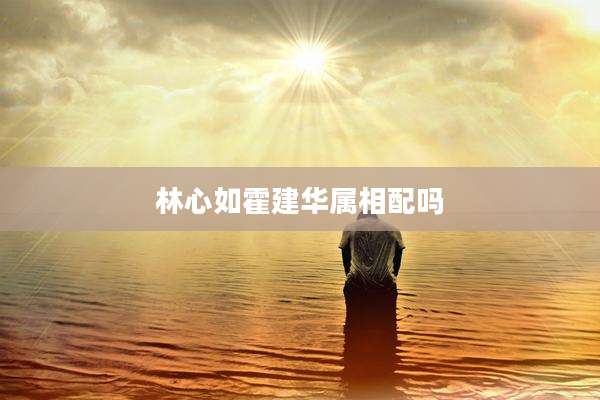 林心如霍建华属相配吗