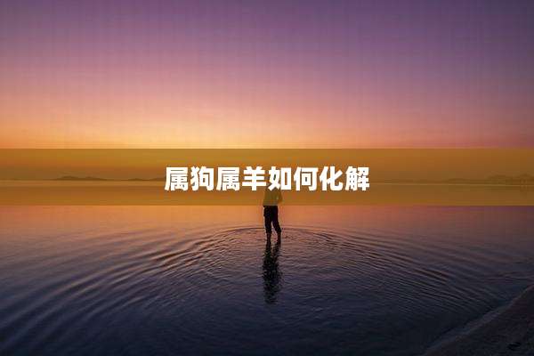 属狗属羊如何化解