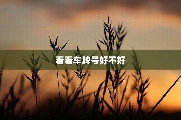 看看车牌号好不好