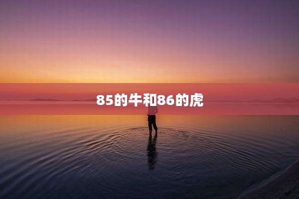 85的牛和86的虎