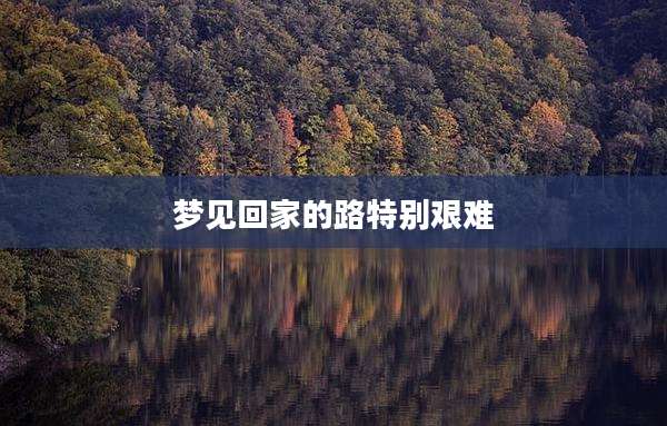 梦见回家的路特别艰难