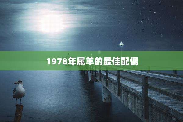 1978年属羊的最佳配偶