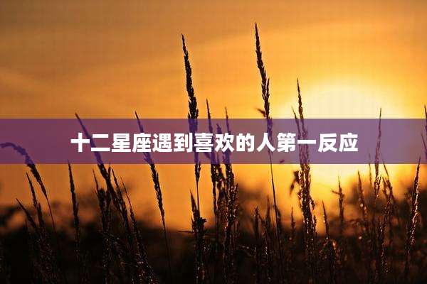 十二星座遇到喜欢的人第一反应